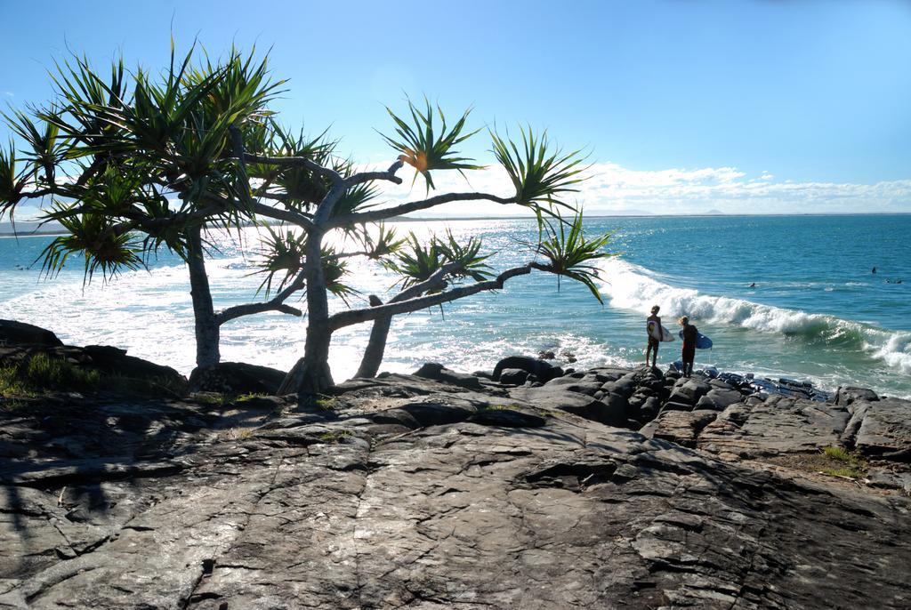 Sunset Cove Noosa Lejlighedshotel Noosaville Eksteriør billede